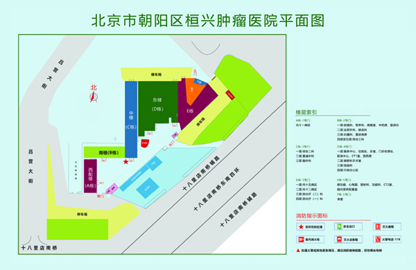 逼操页北京市朝阳区桓兴肿瘤医院平面图